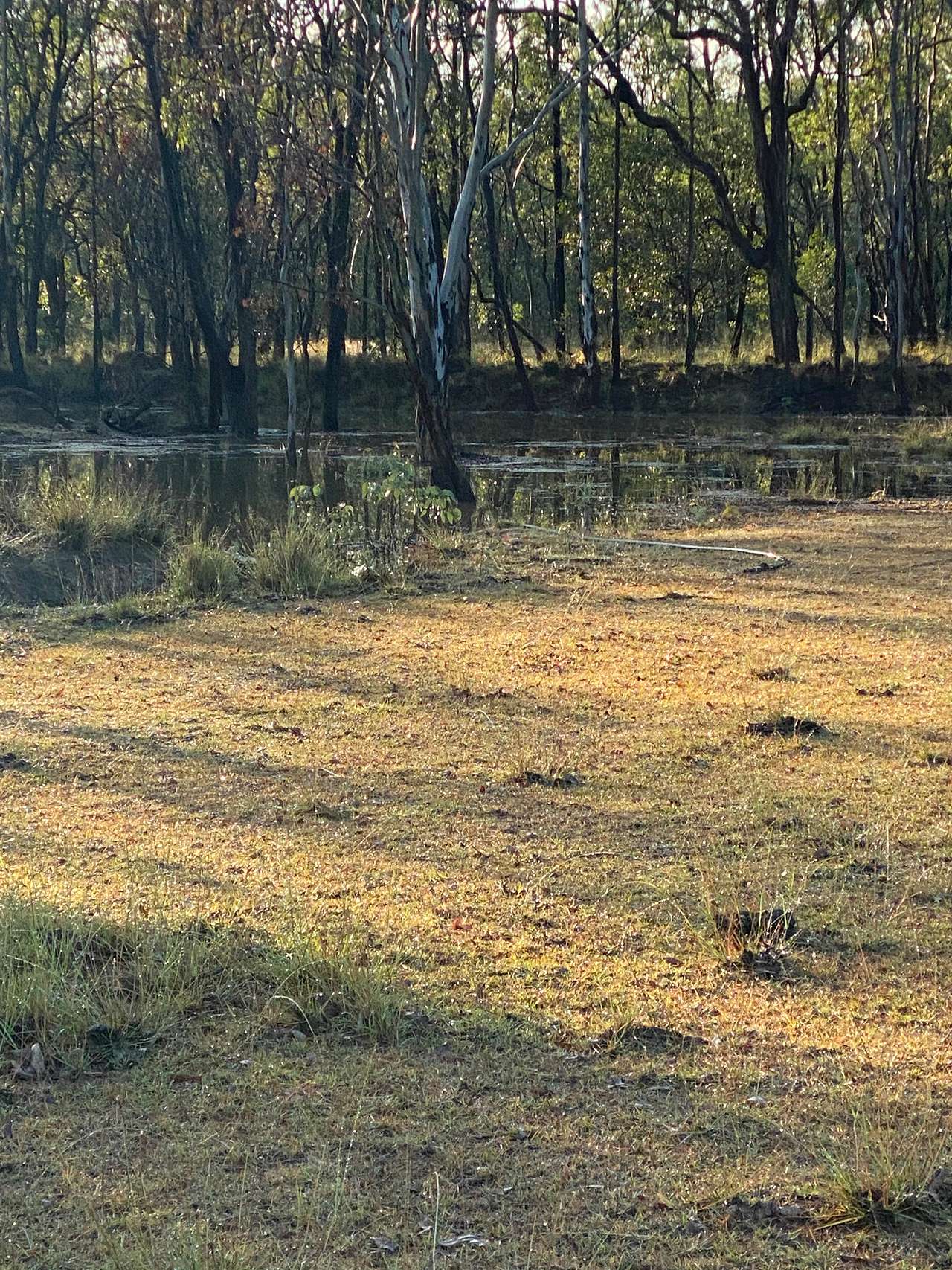 Photo 1 of 4 of The Farm