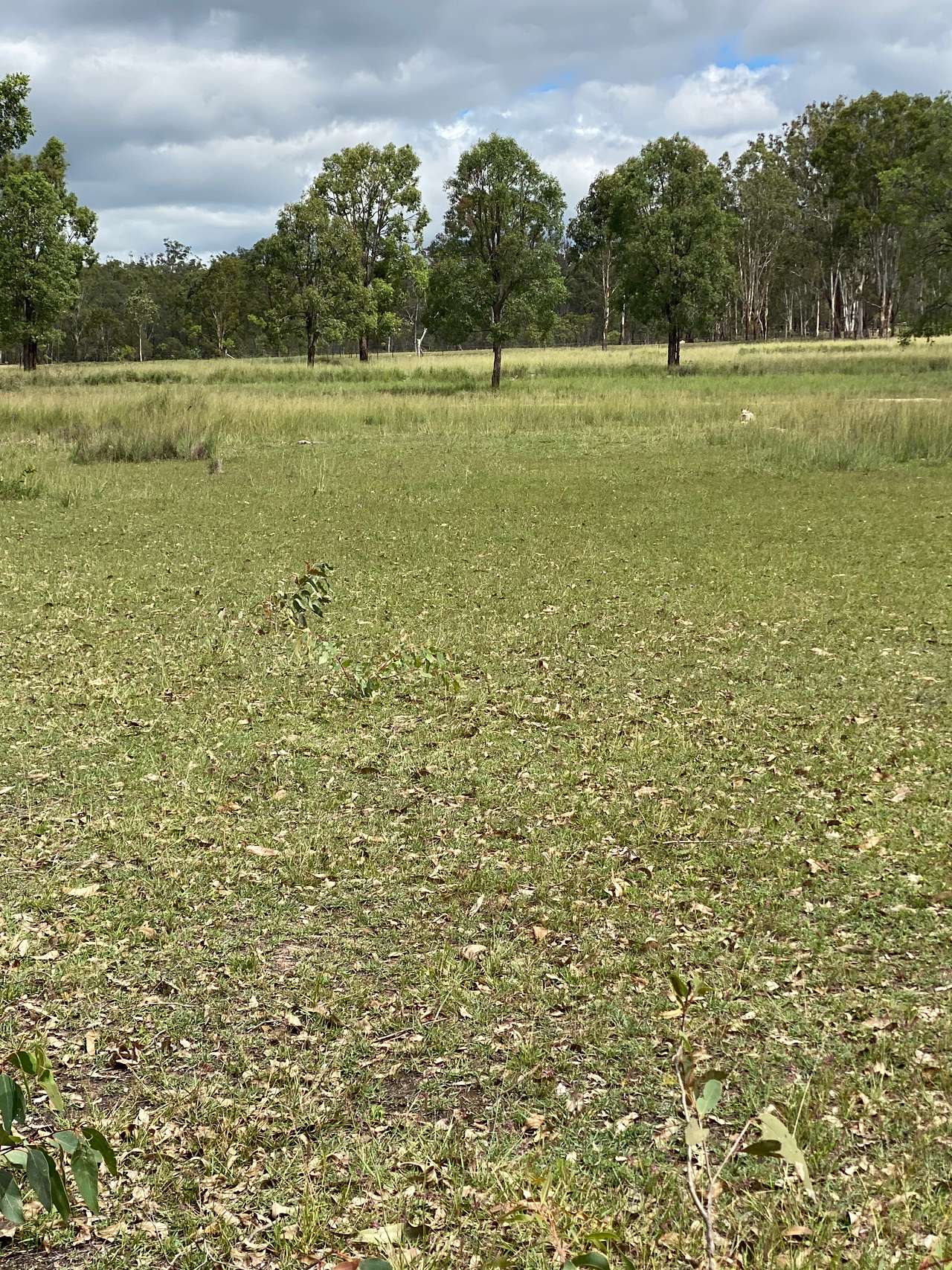 View more photos of The Farm
