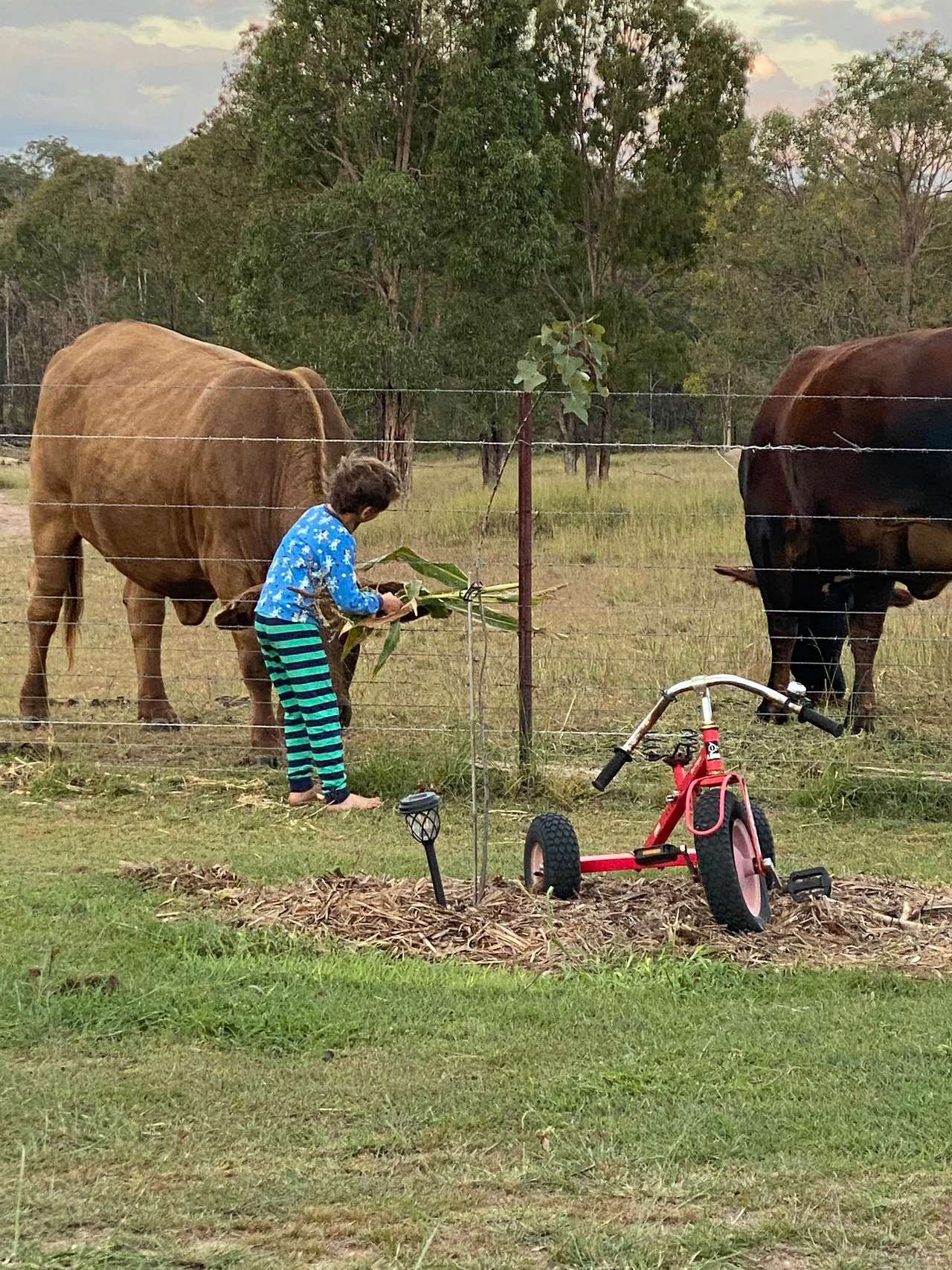 View more photos of The Farm