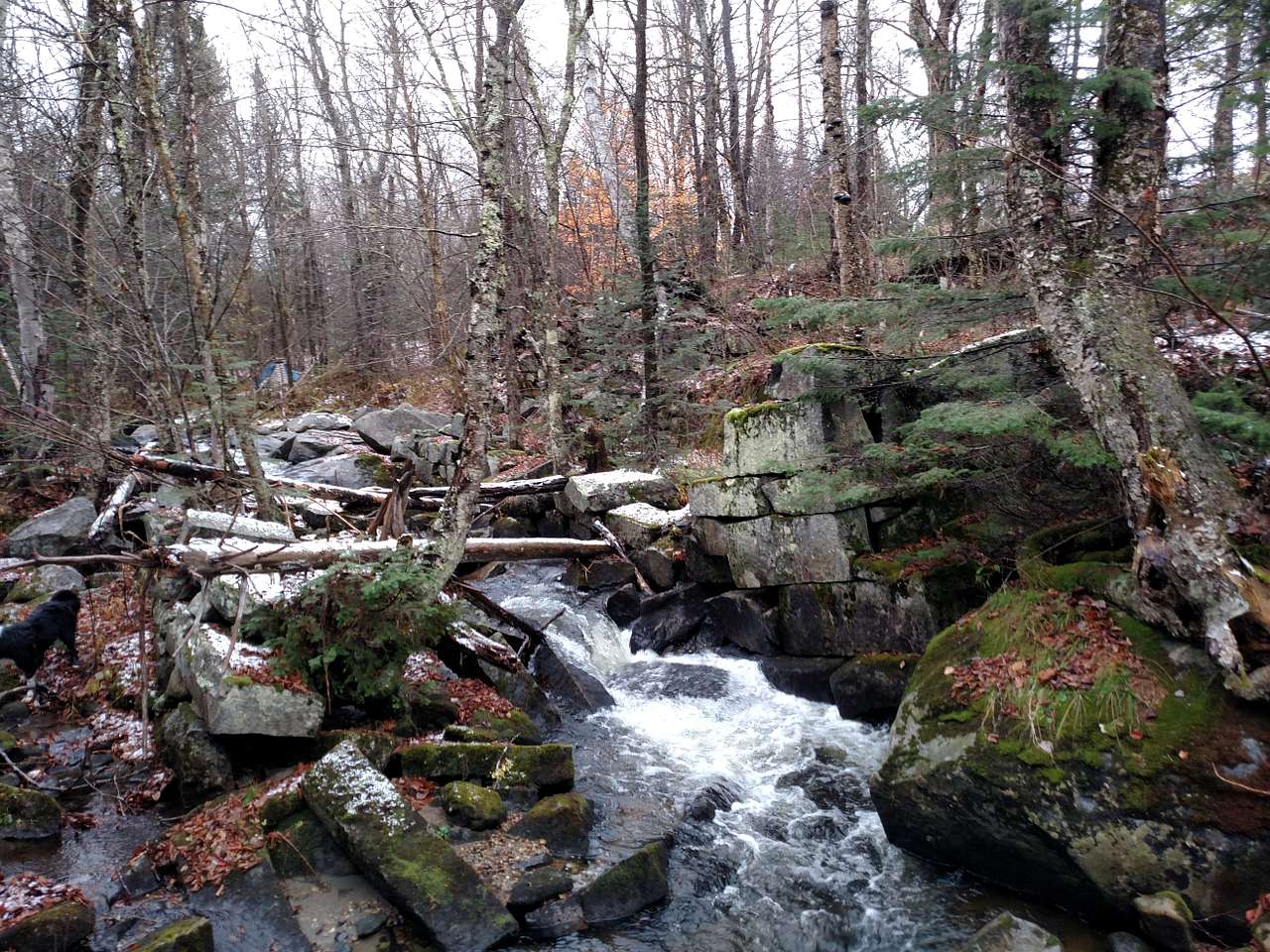 Picture of the site