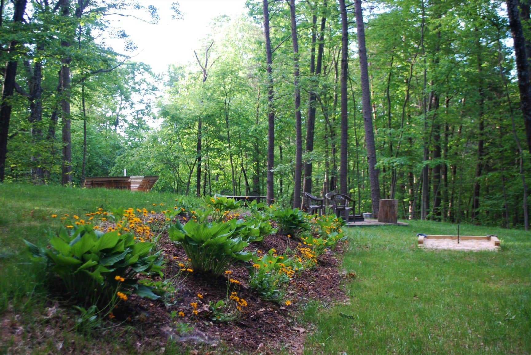 Picture of the site