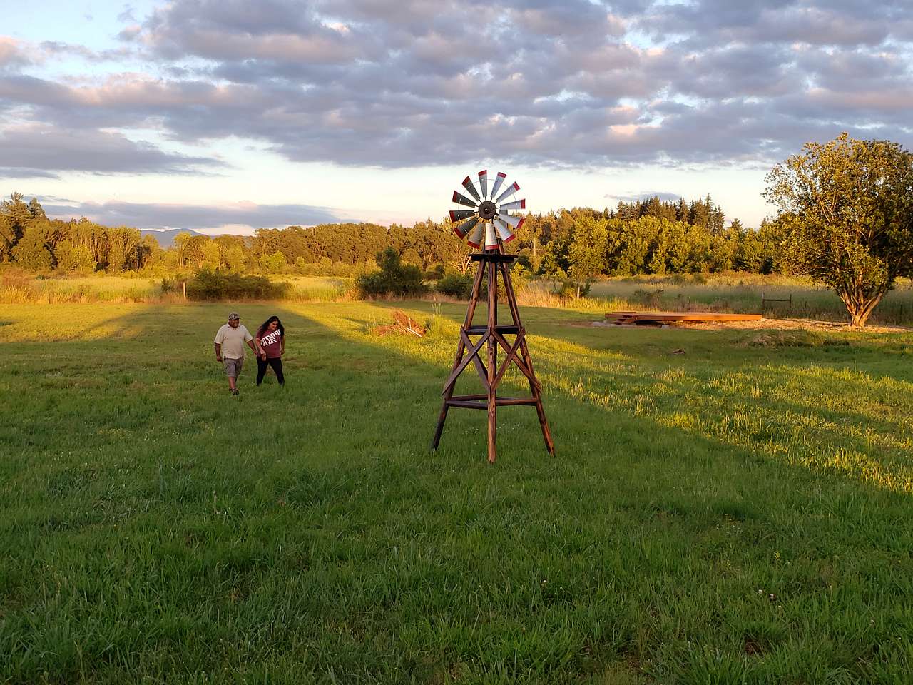 Picture of the site