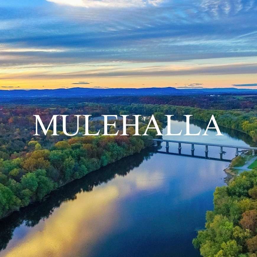 View more photos of Mulehalla