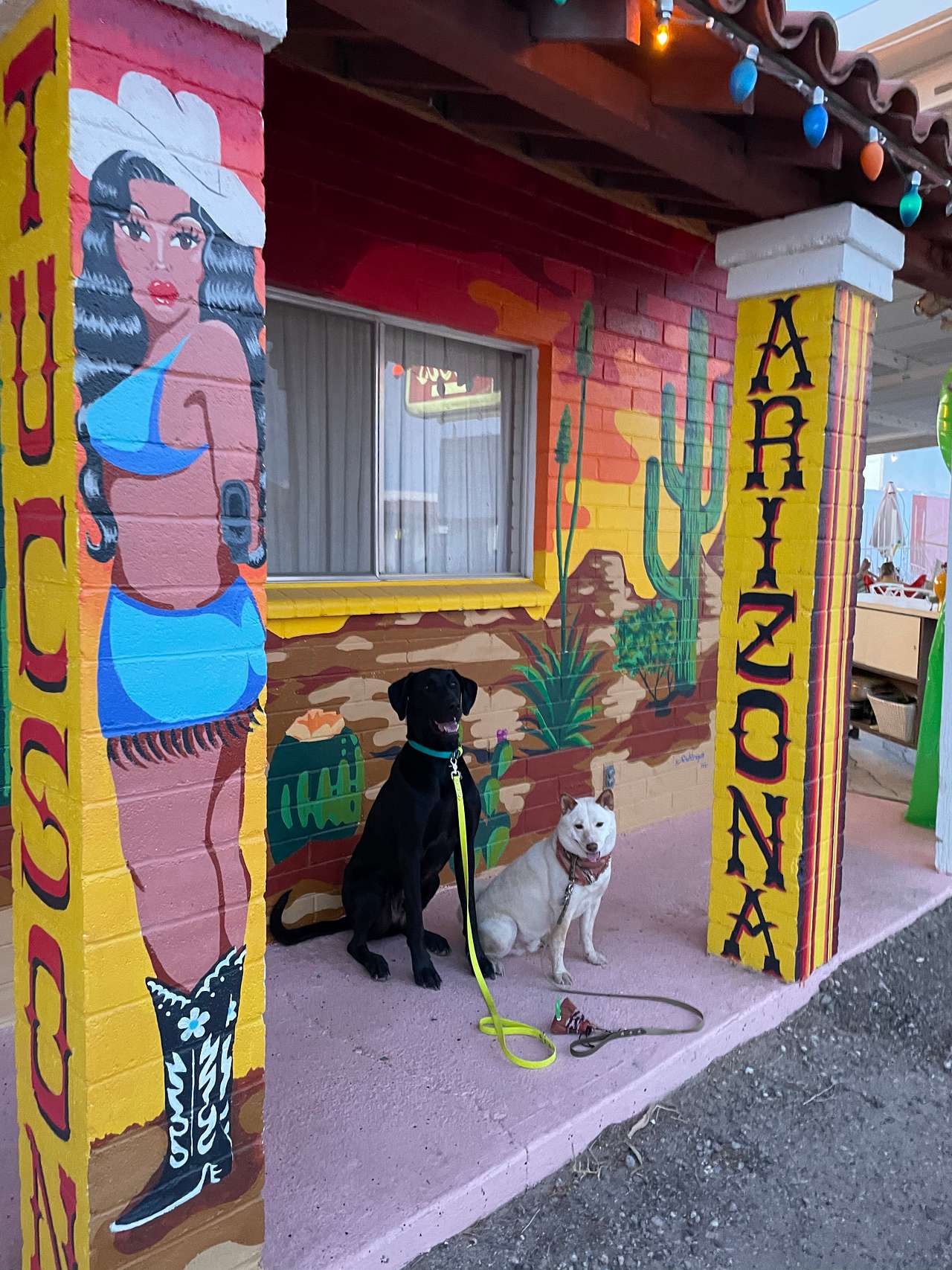 View pets photos of El Pais Motel & Campgrounds