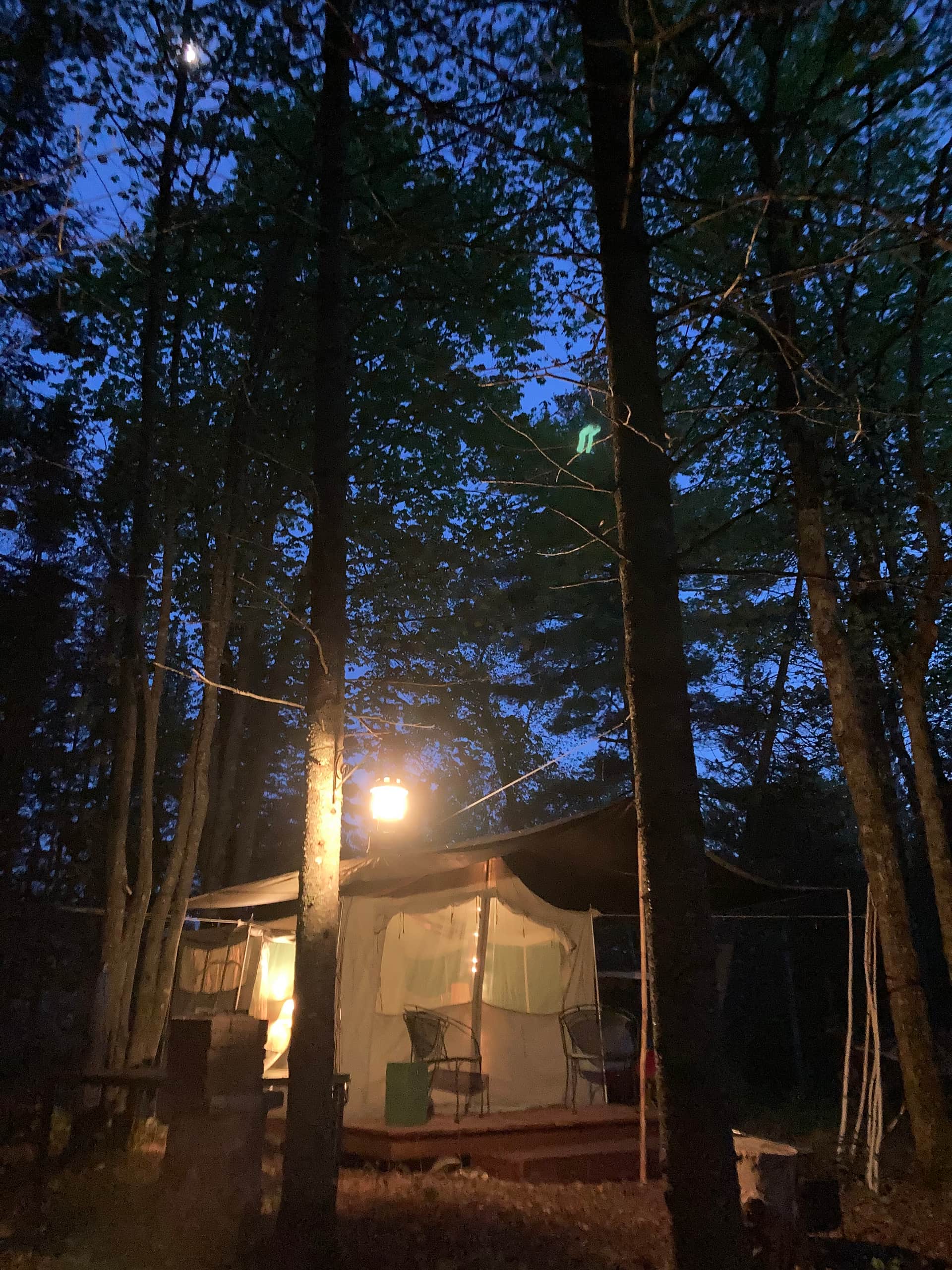 Picture of the site