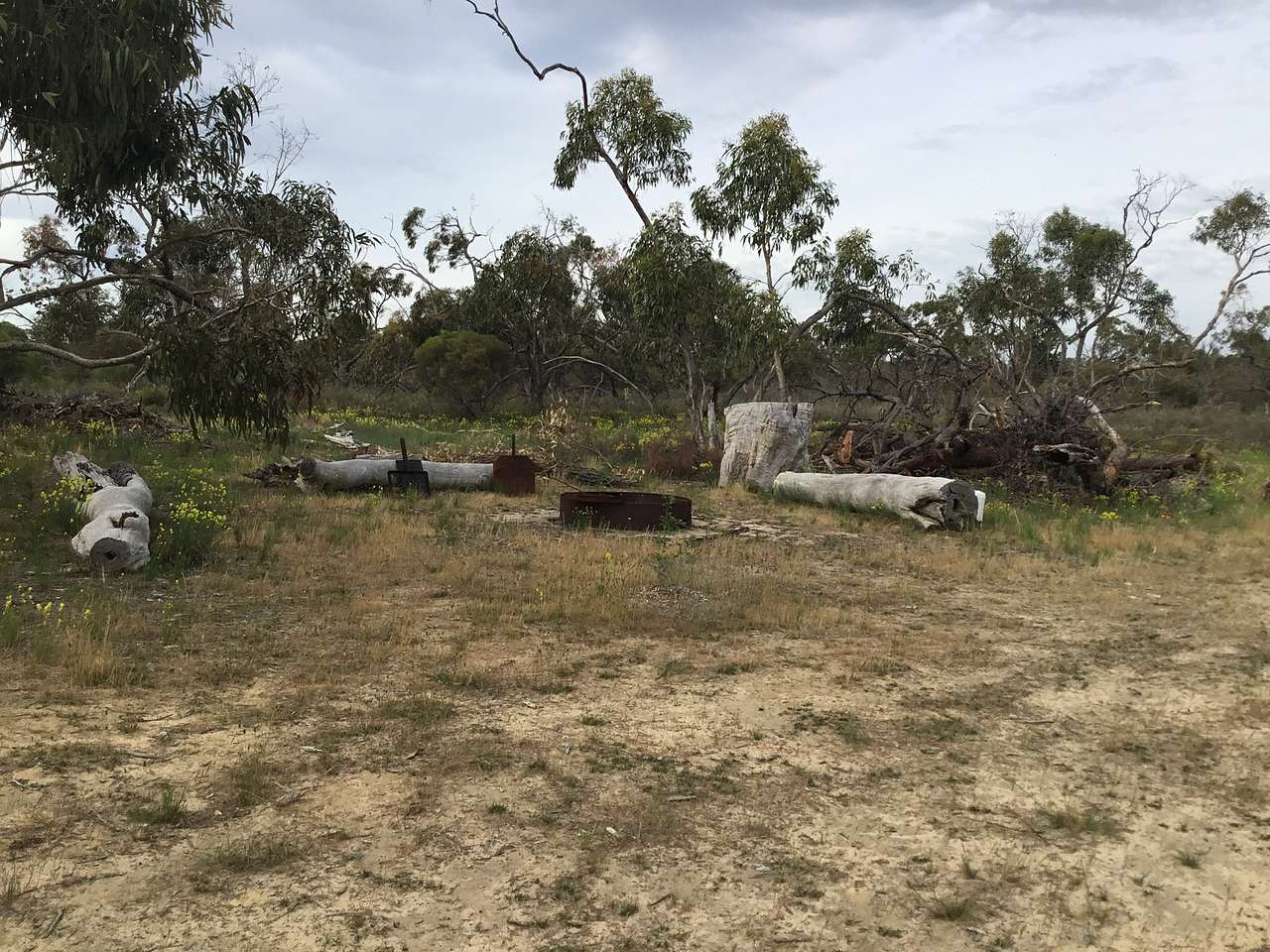 Picture of the site
