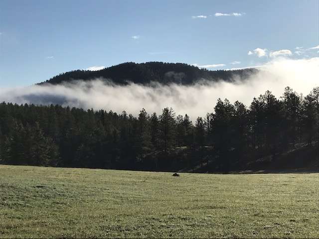 View to the north east from the Backwoods site.