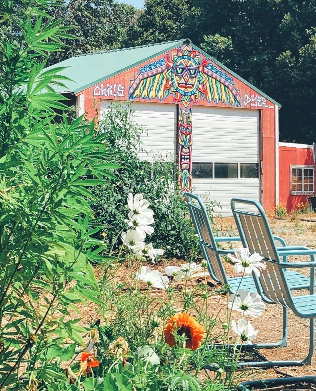 Picture of the site