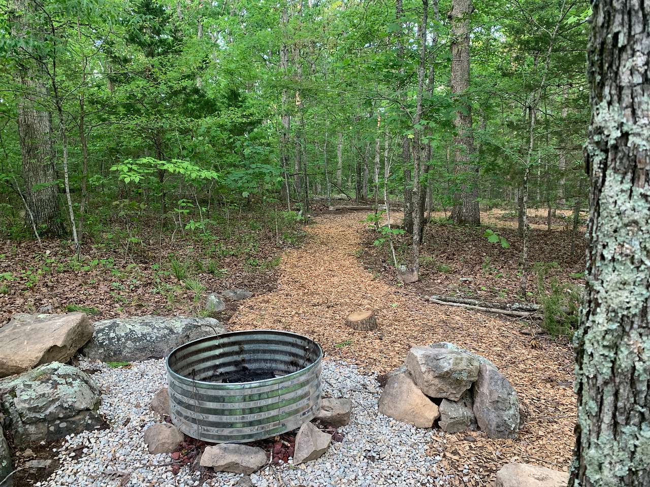 Picture of the site