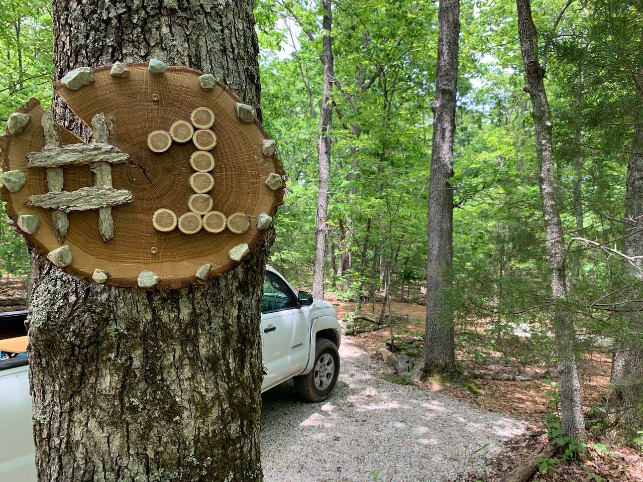 Picture of the site