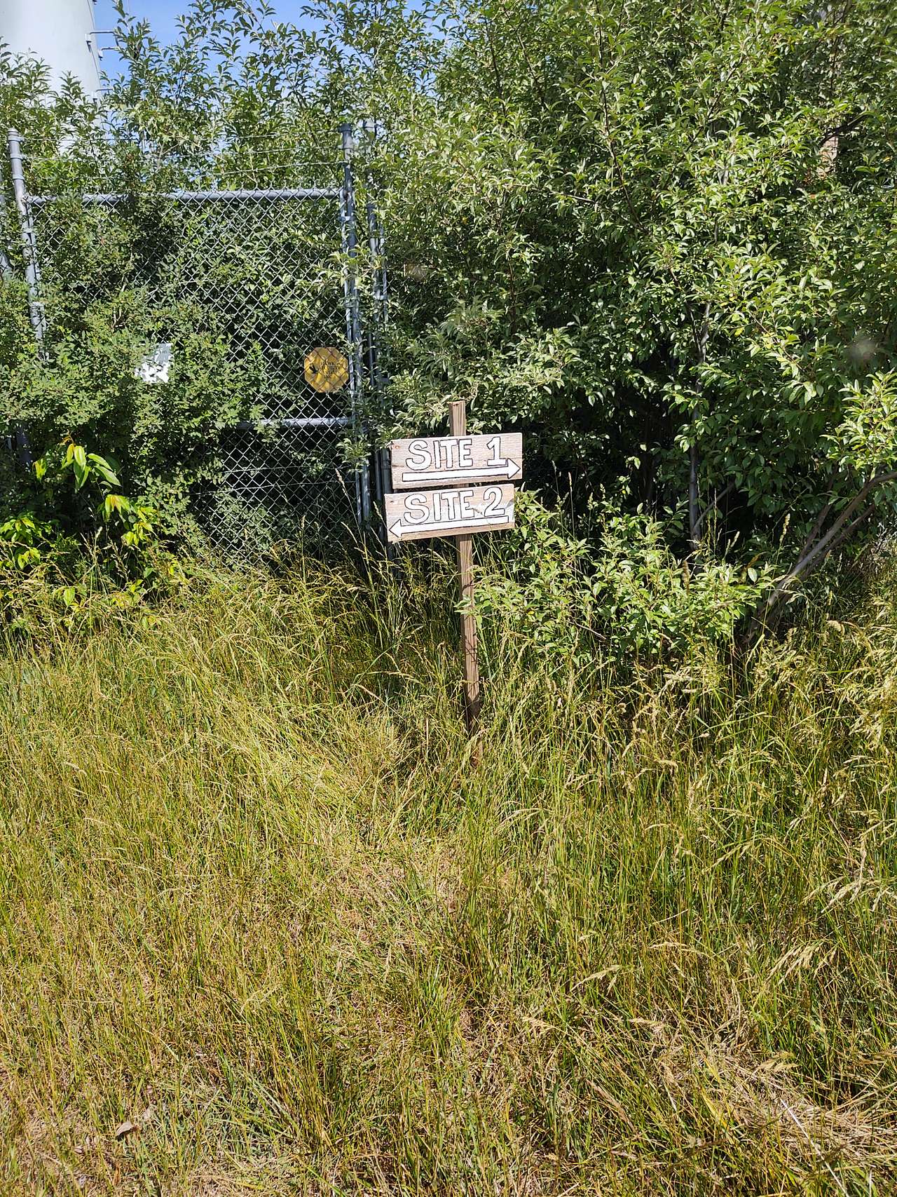 Picture of the site