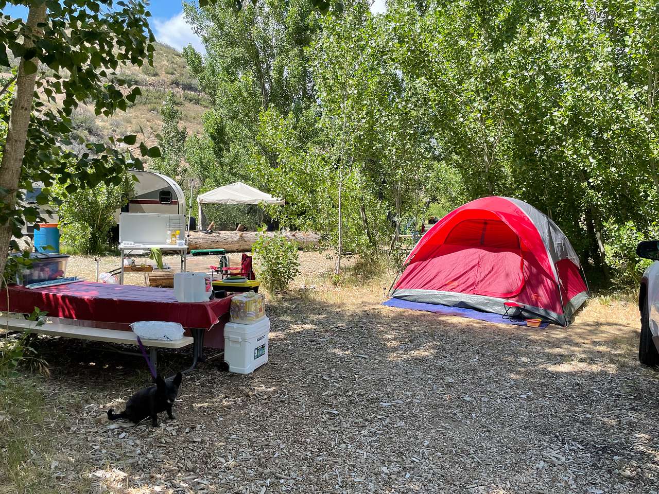 Picture of the site