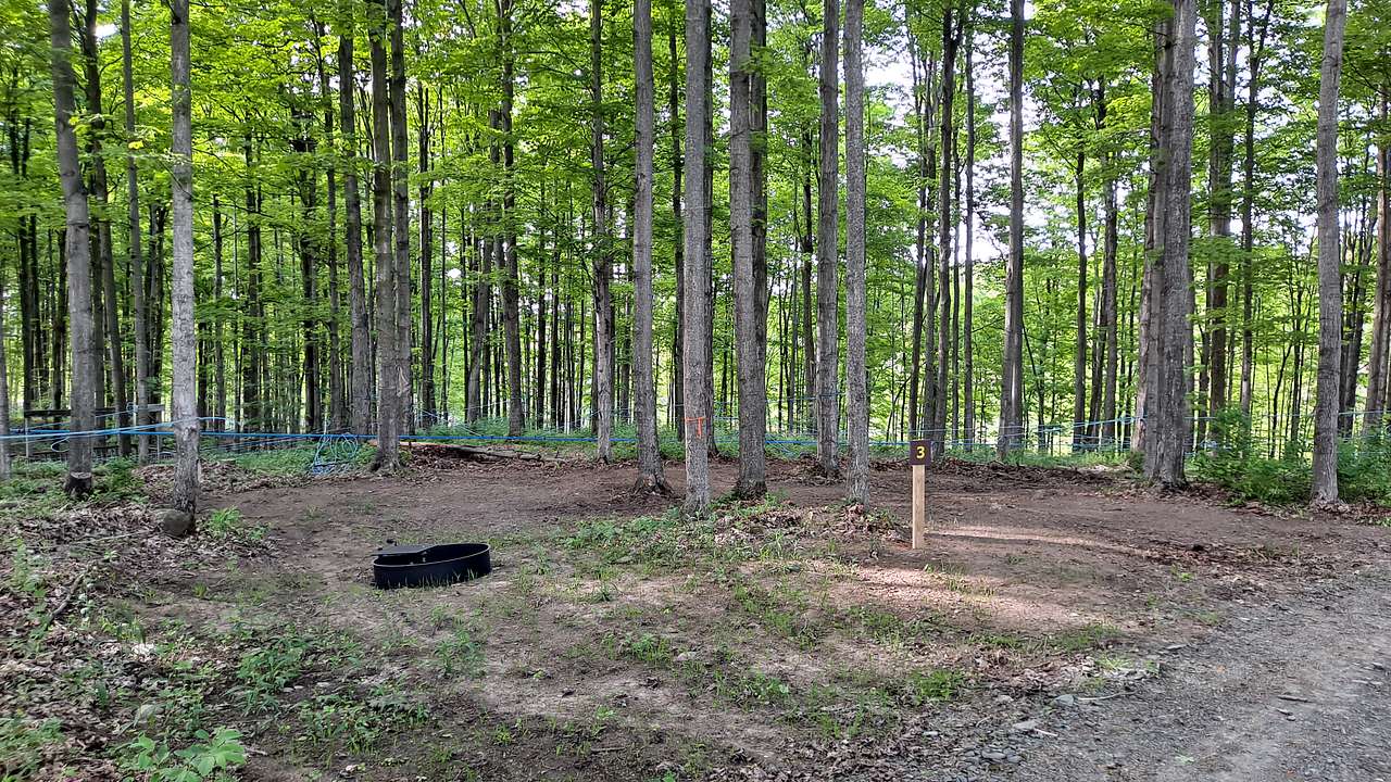 Picture of the site