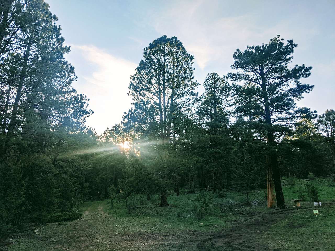 Picture of the site