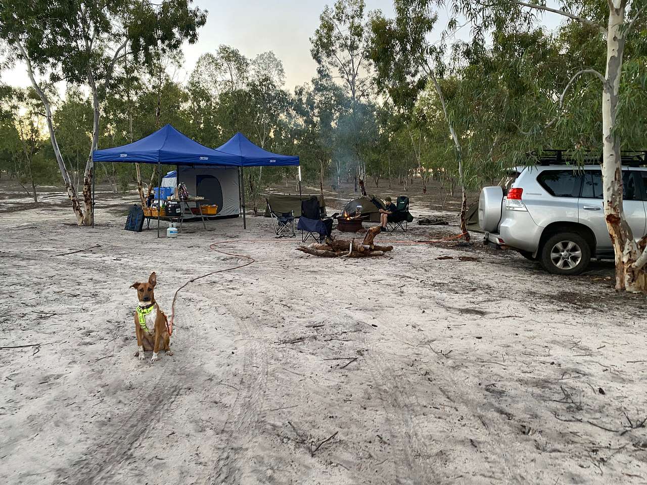 Picture of the site