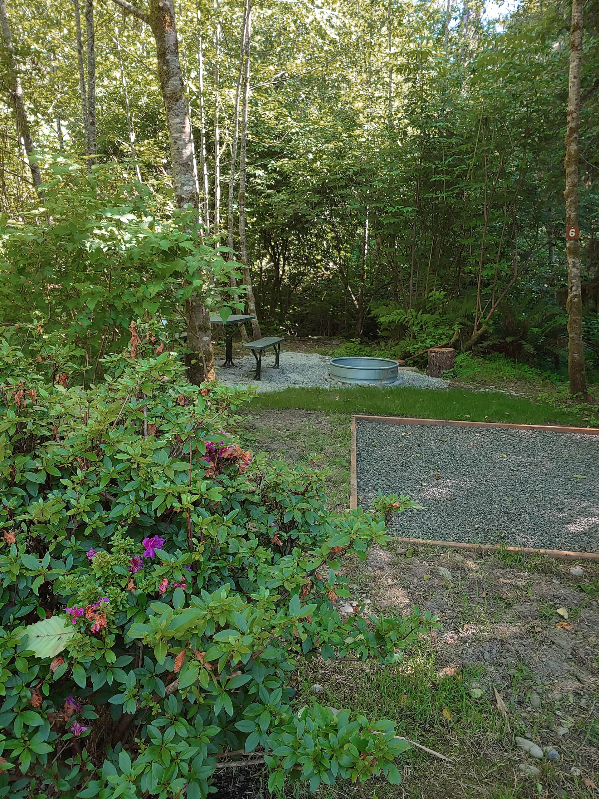 Picture of the site