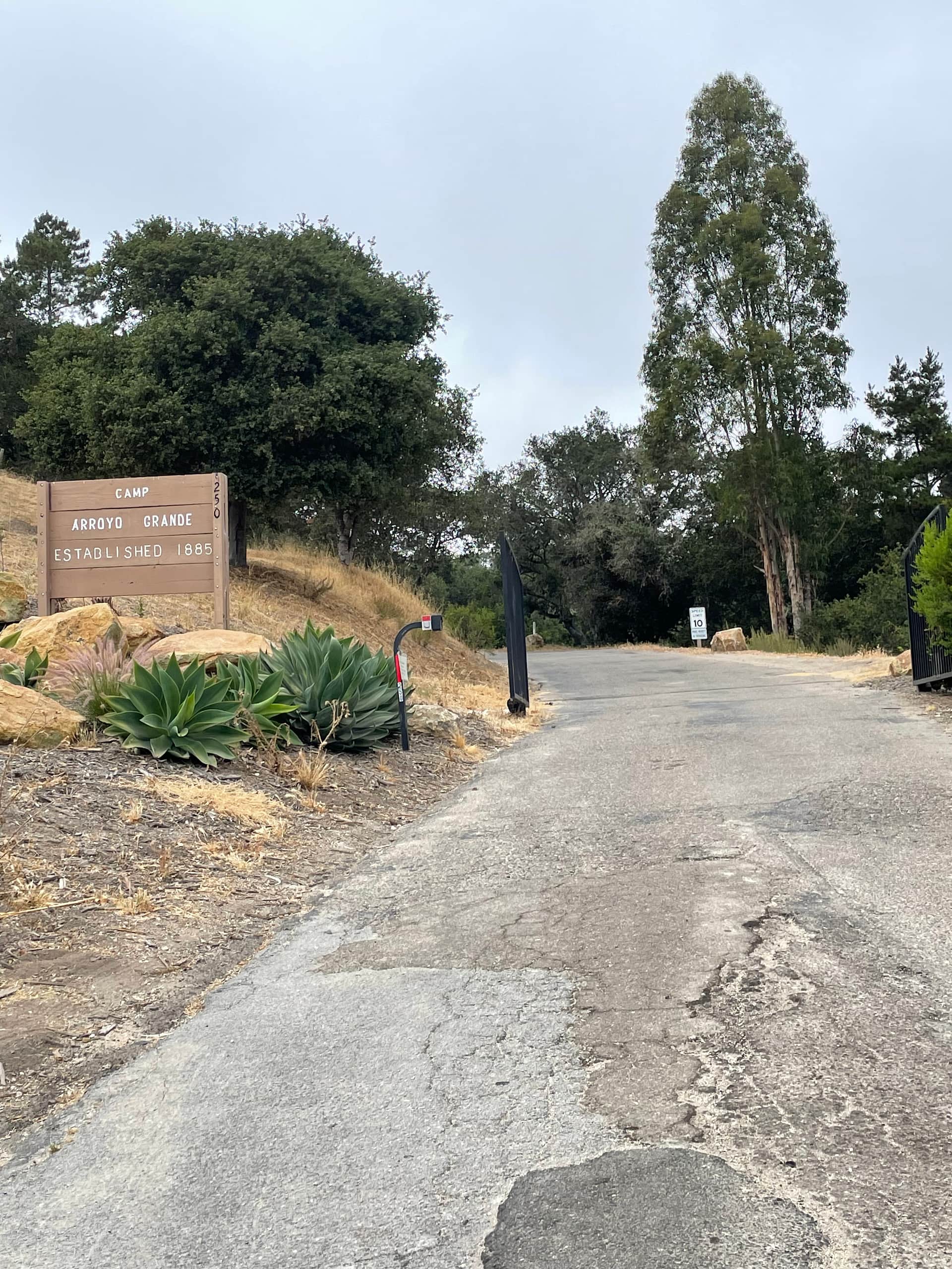 Picture of the site