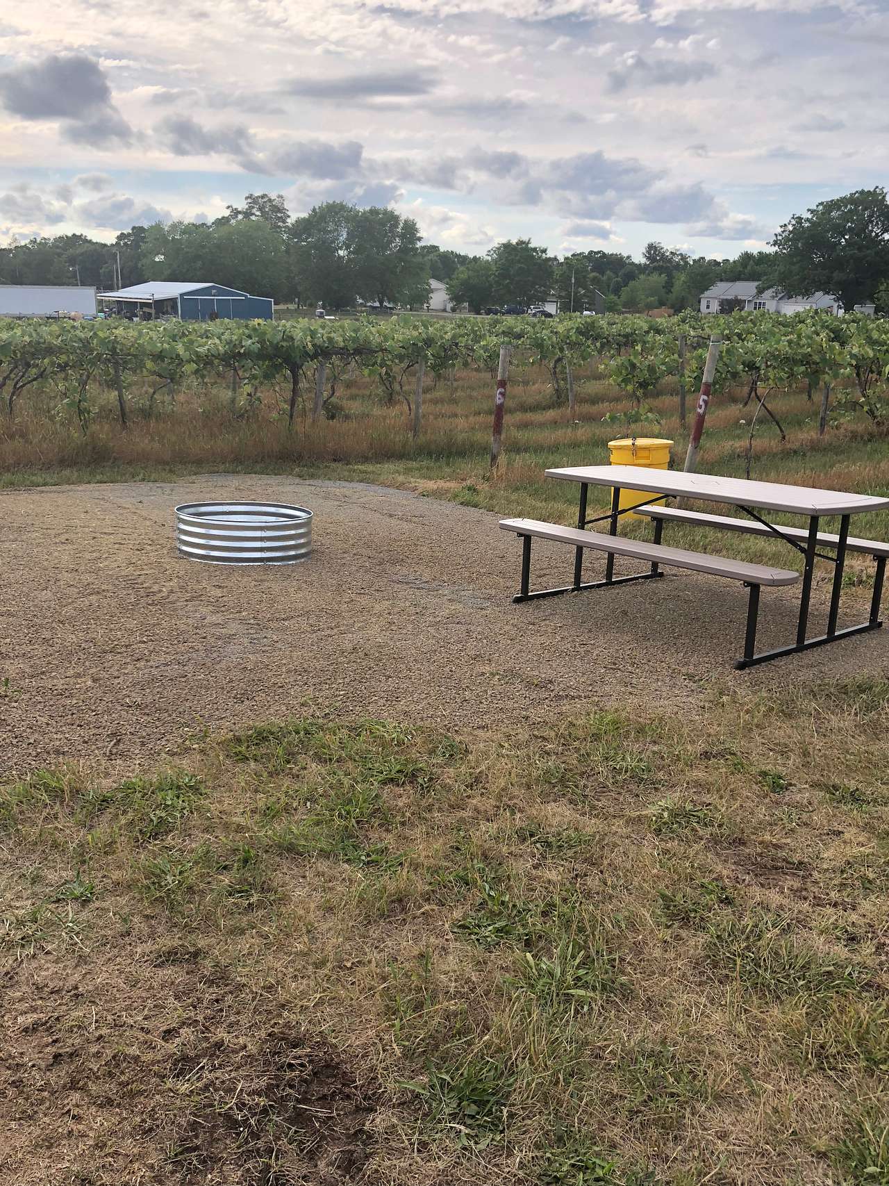 Picture of the site
