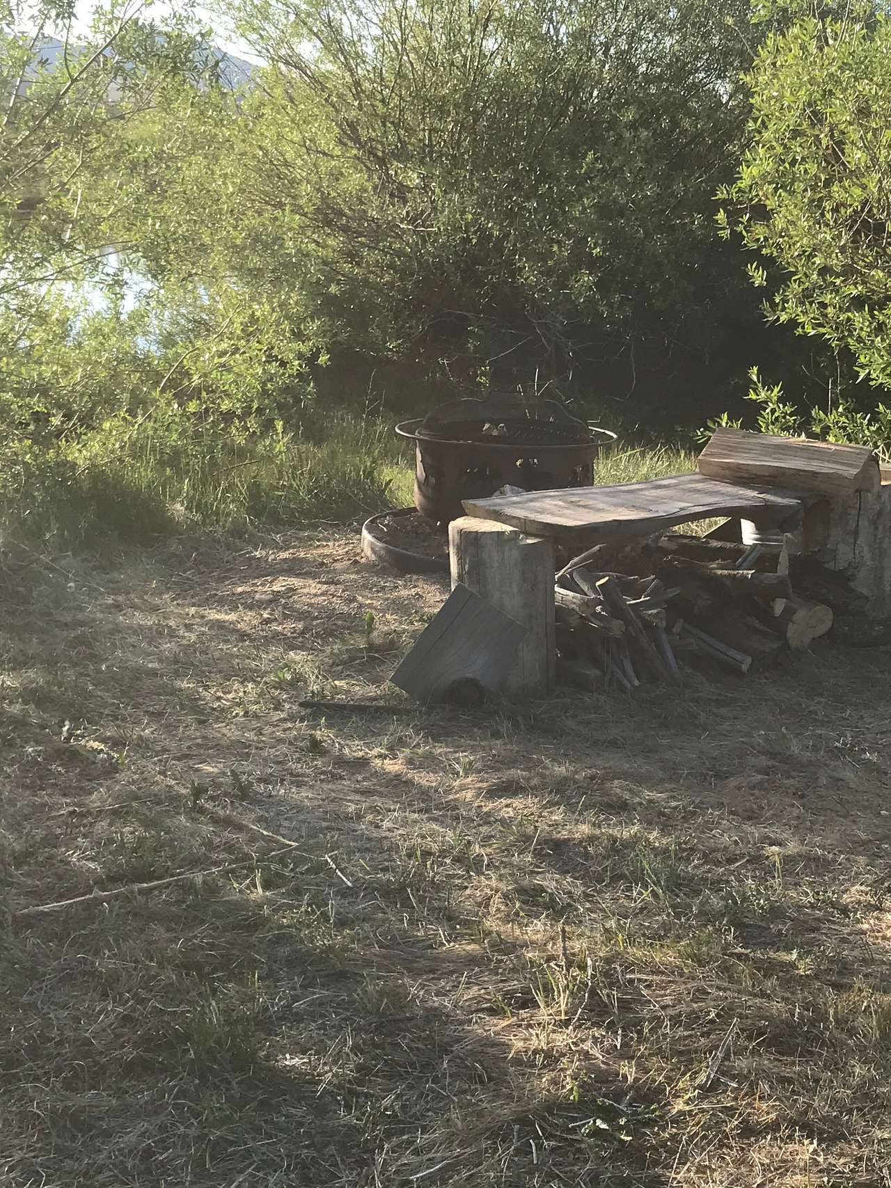 Picture of the site