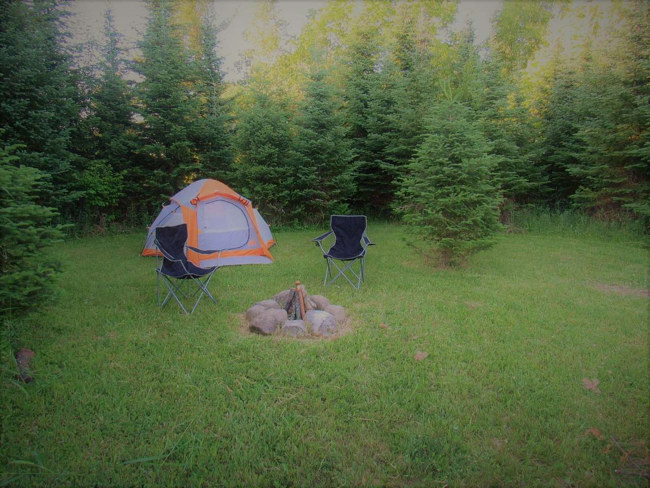 Picture of the site