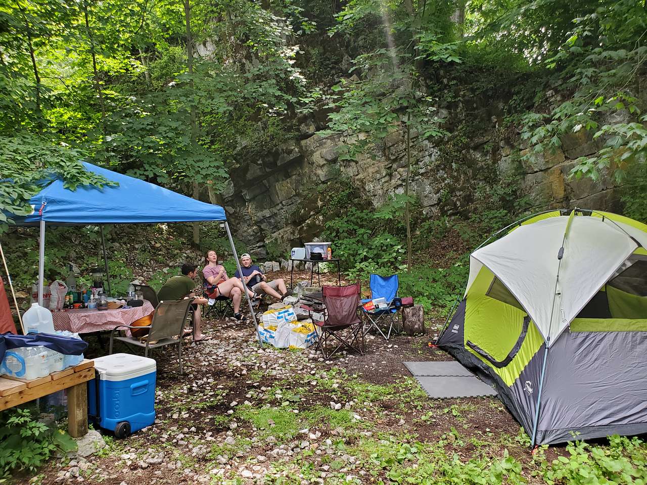 Picture of the site