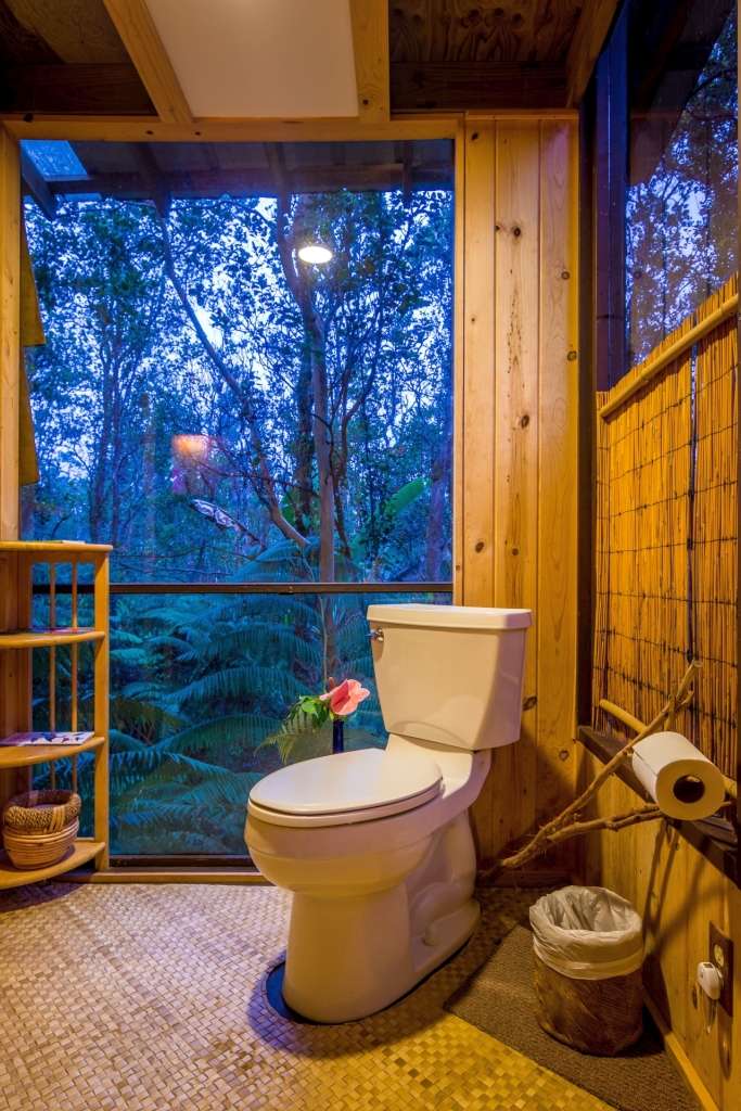 View amenities photos of TreeHouse in canopy of trees