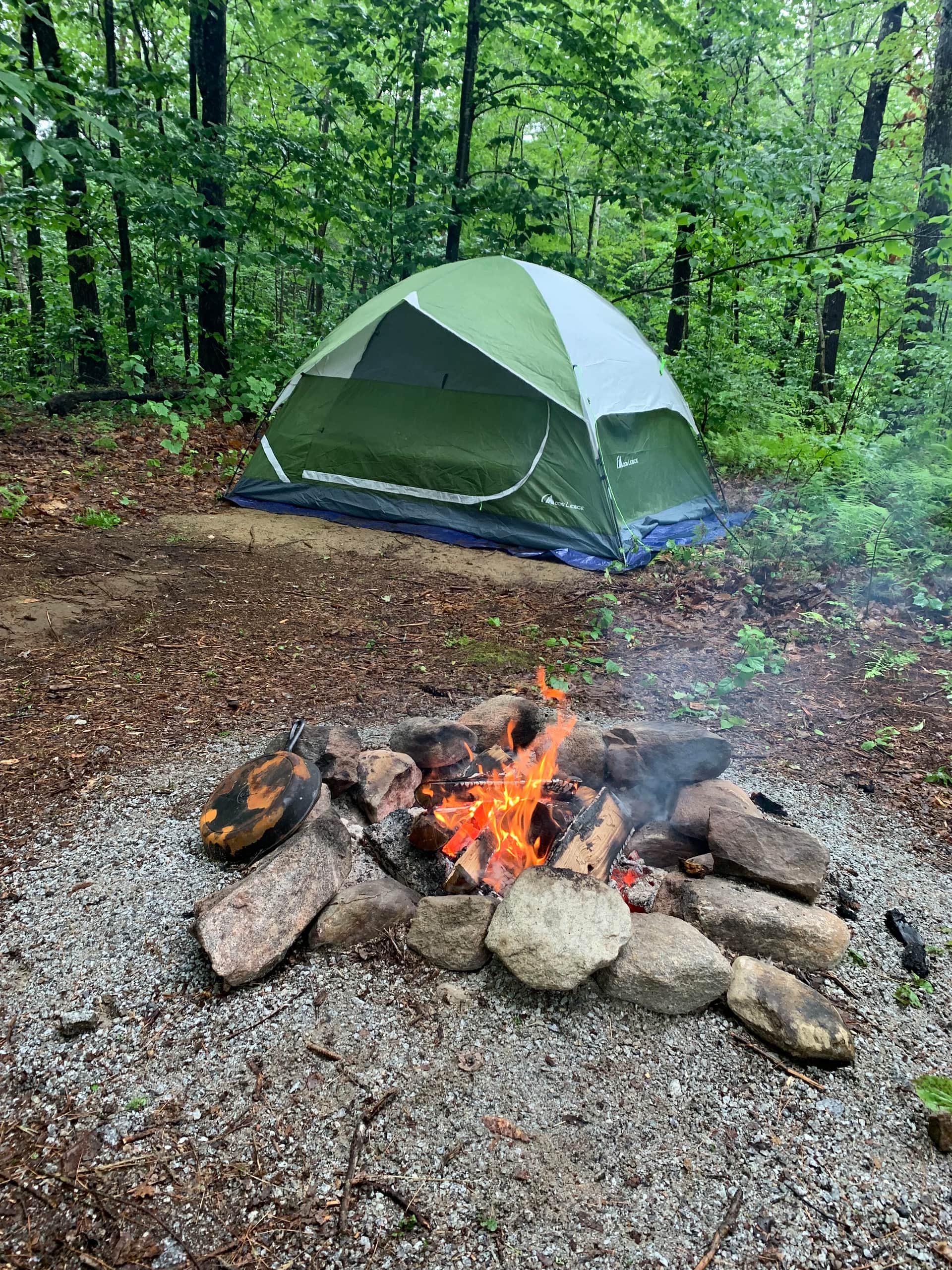 Picture of the site