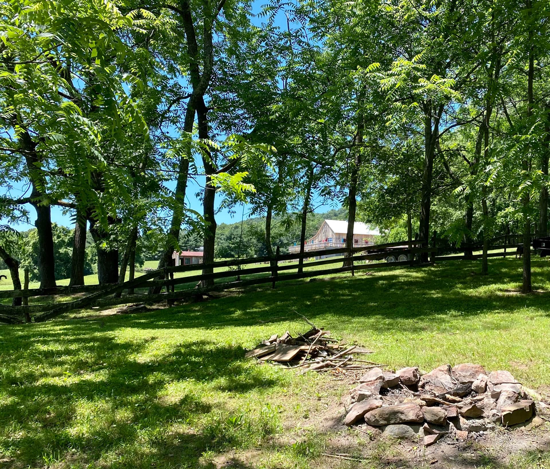 Picture of the site