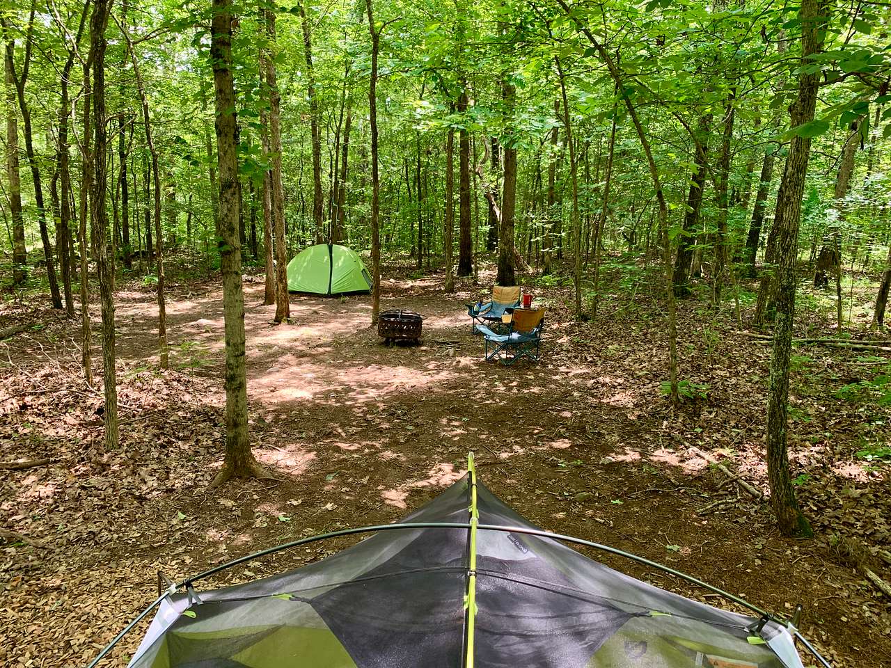 Picture of the site