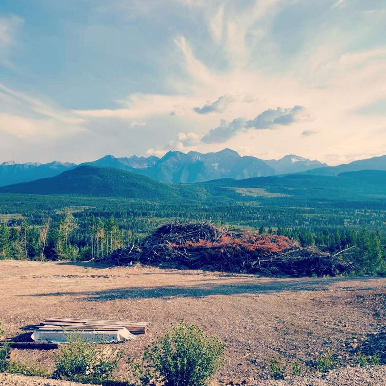 Picture of the site