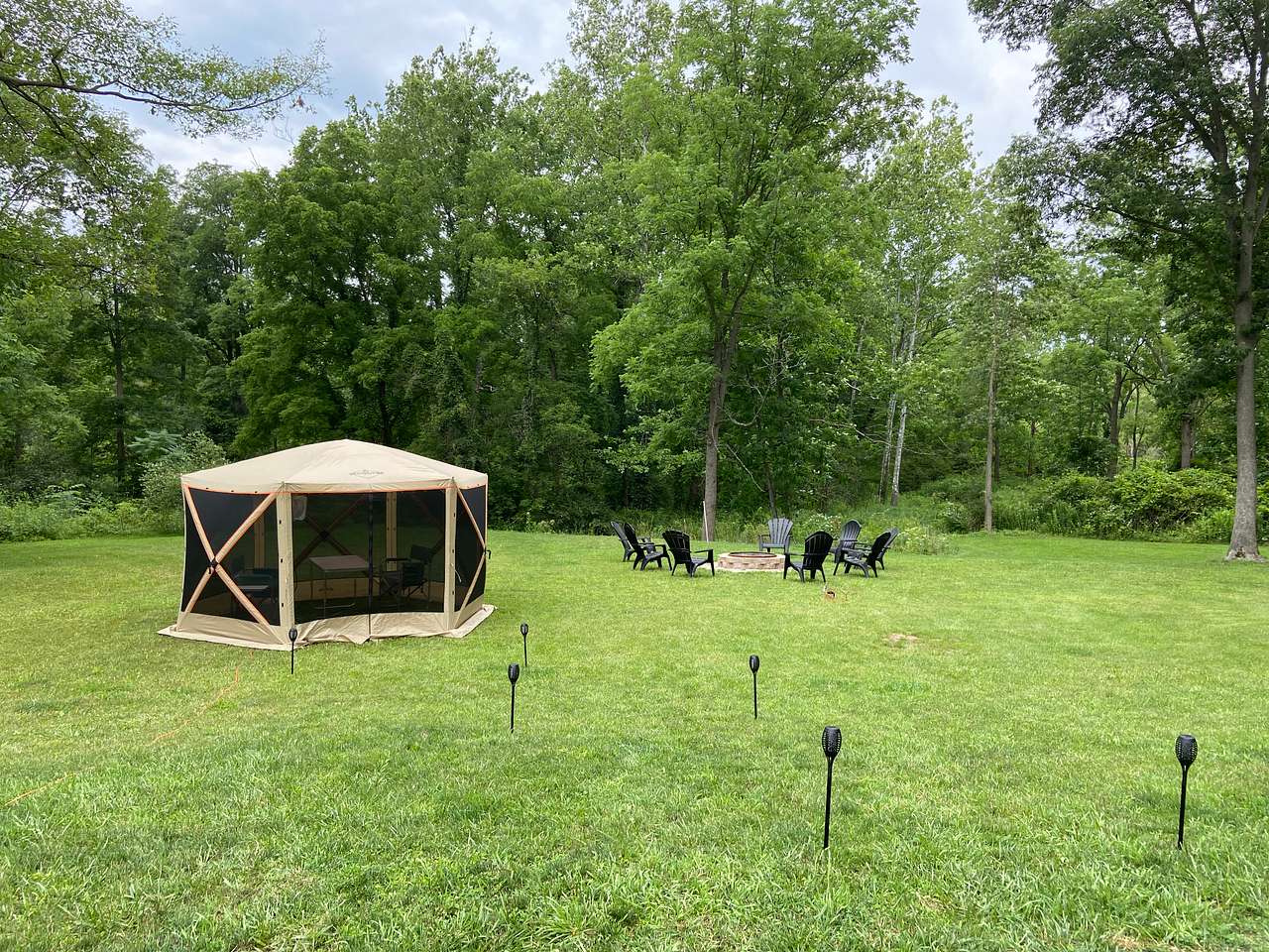 Picture of the site