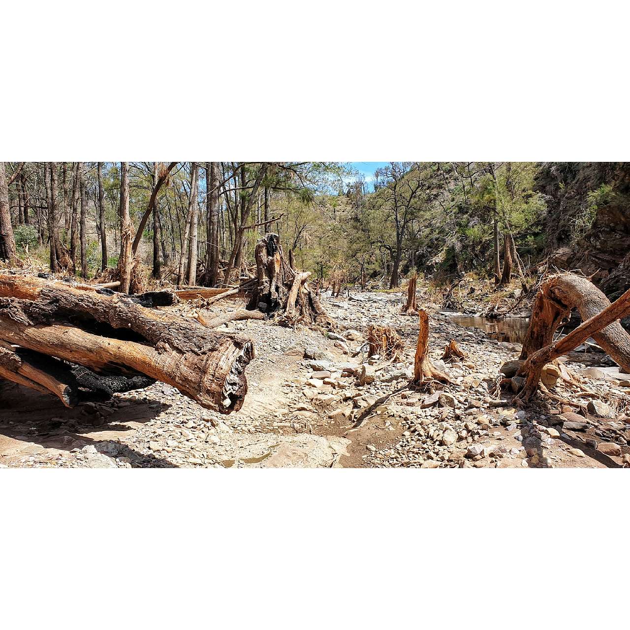 Picture of the site