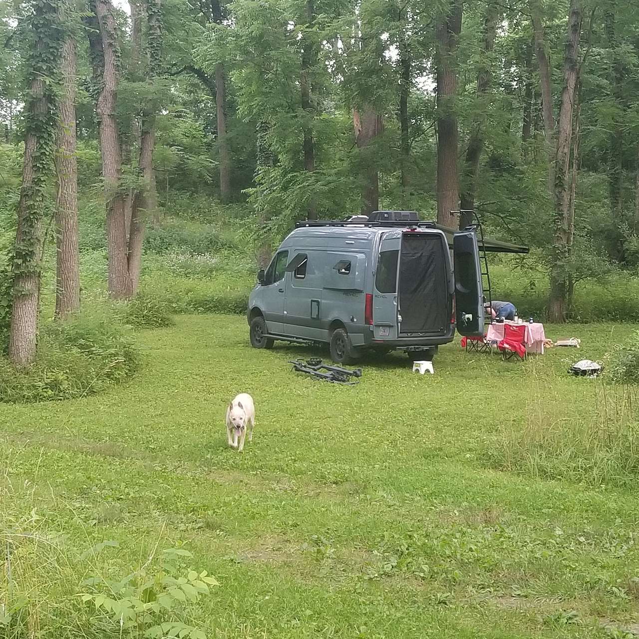 Picture of the site