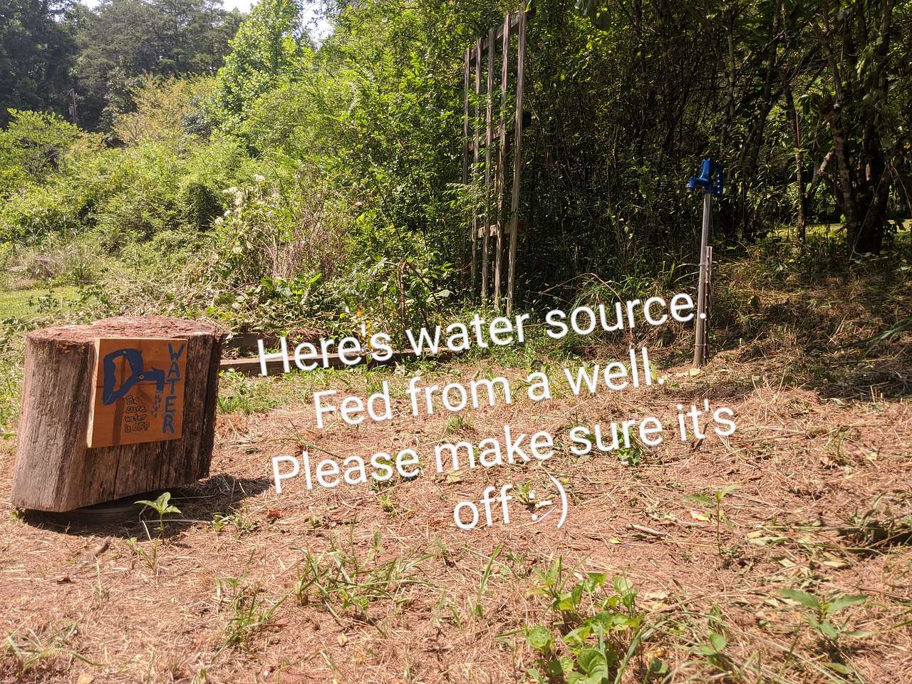 Picture of the site