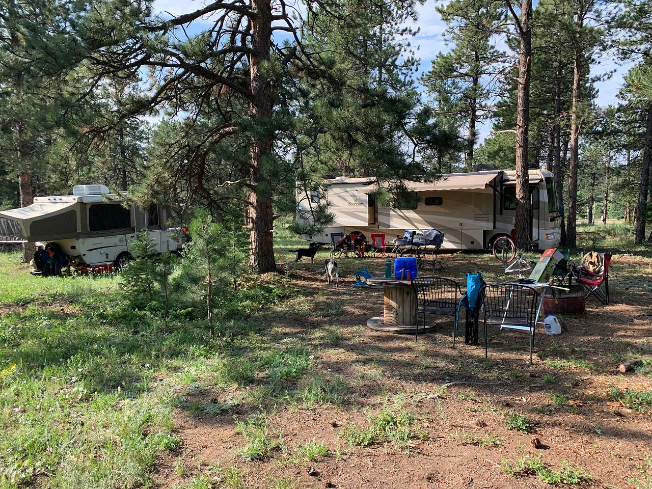 Picture of the site