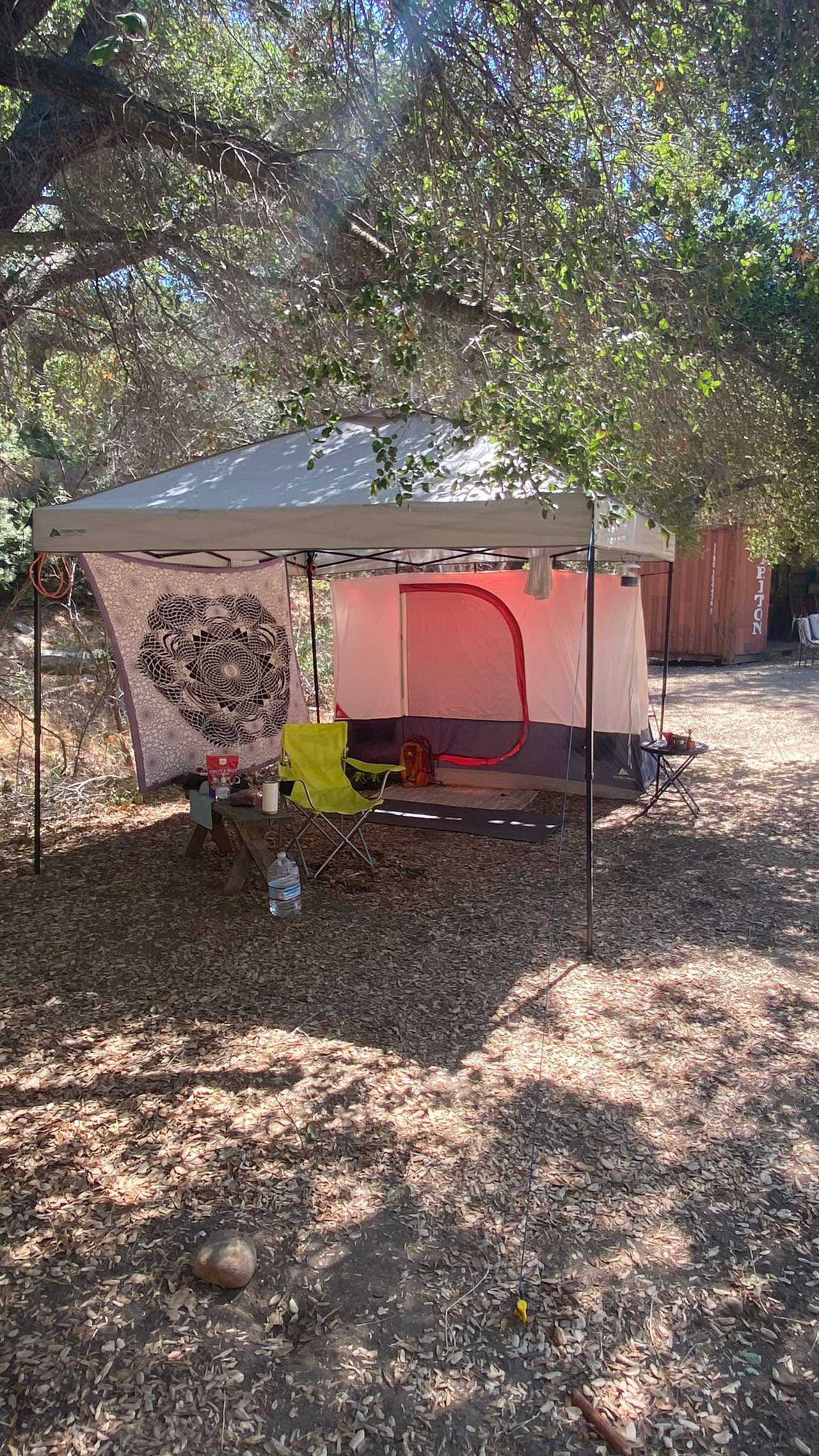 Picture of the site