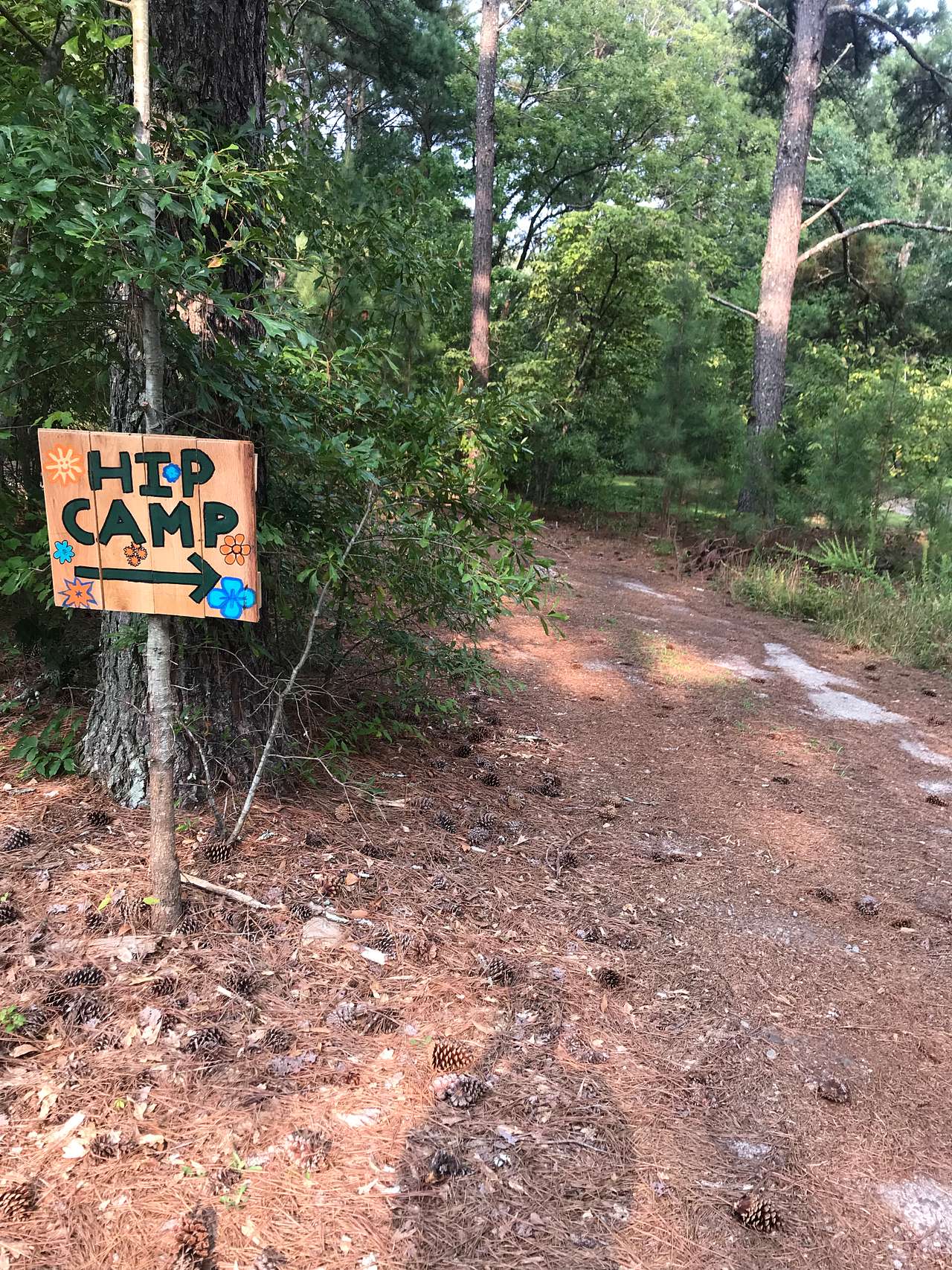 Picture of the site
