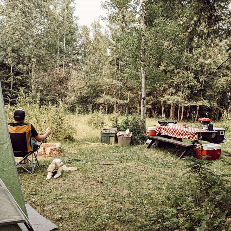 Picture of the site