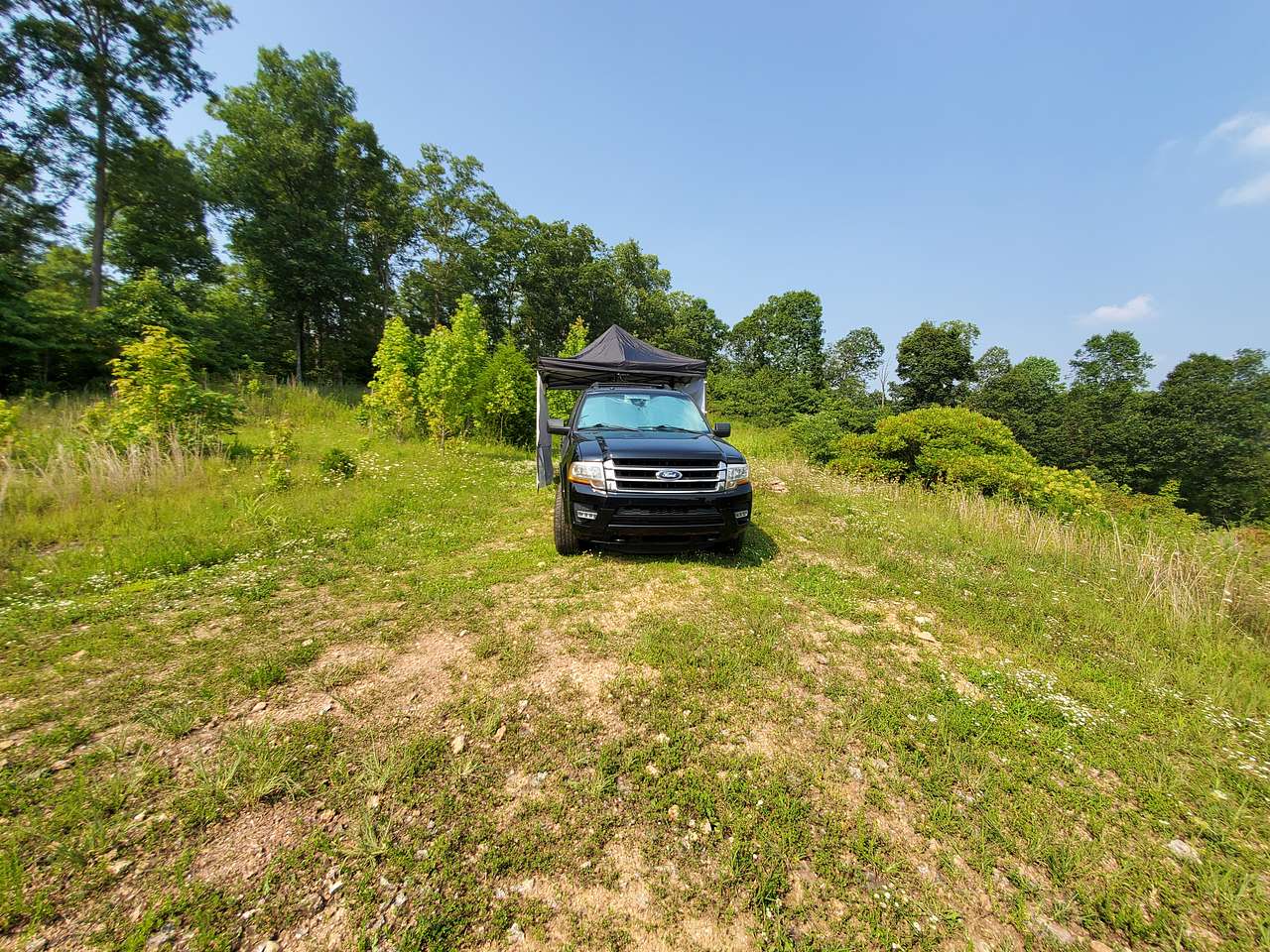 Picture of the site