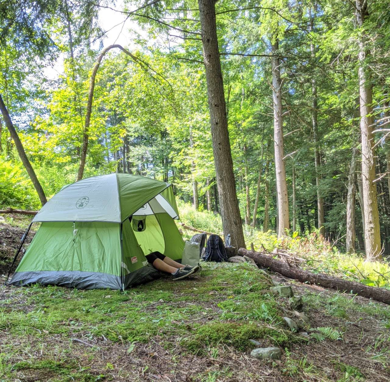 Picture of the site