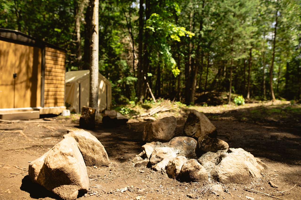 Picture of the site