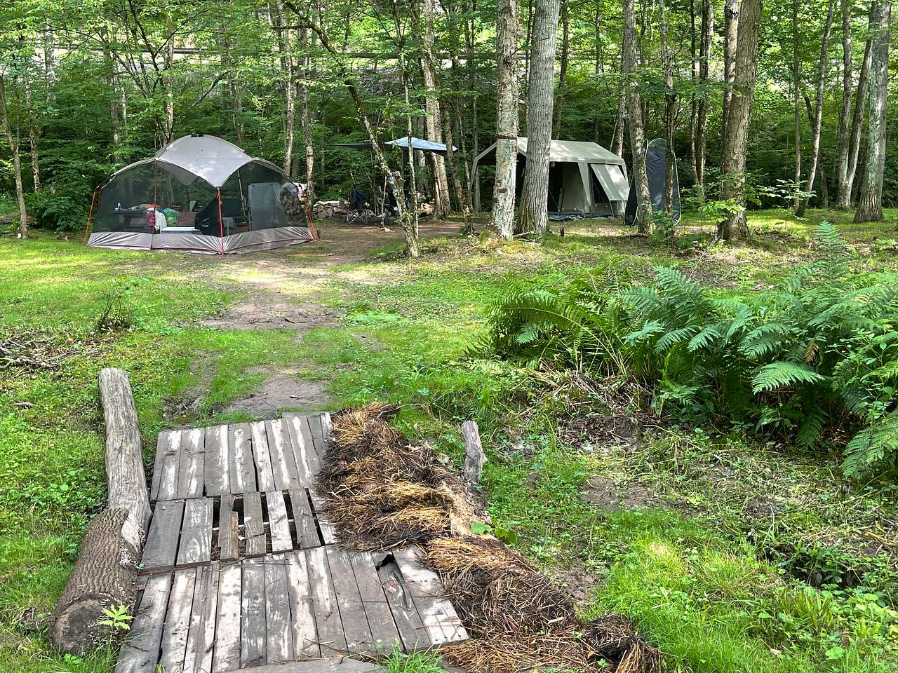 Picture of the site