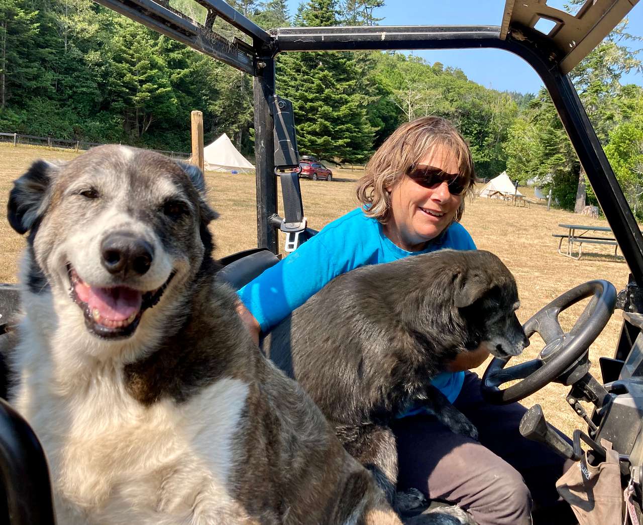 View pets photos of Cornerstone Ranch
