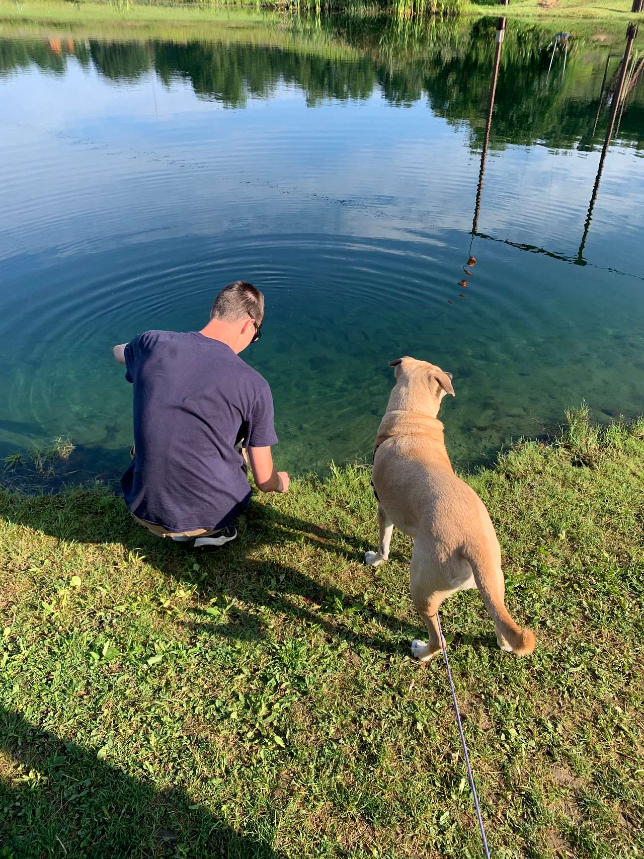View pets photos of Hogan's Landing
