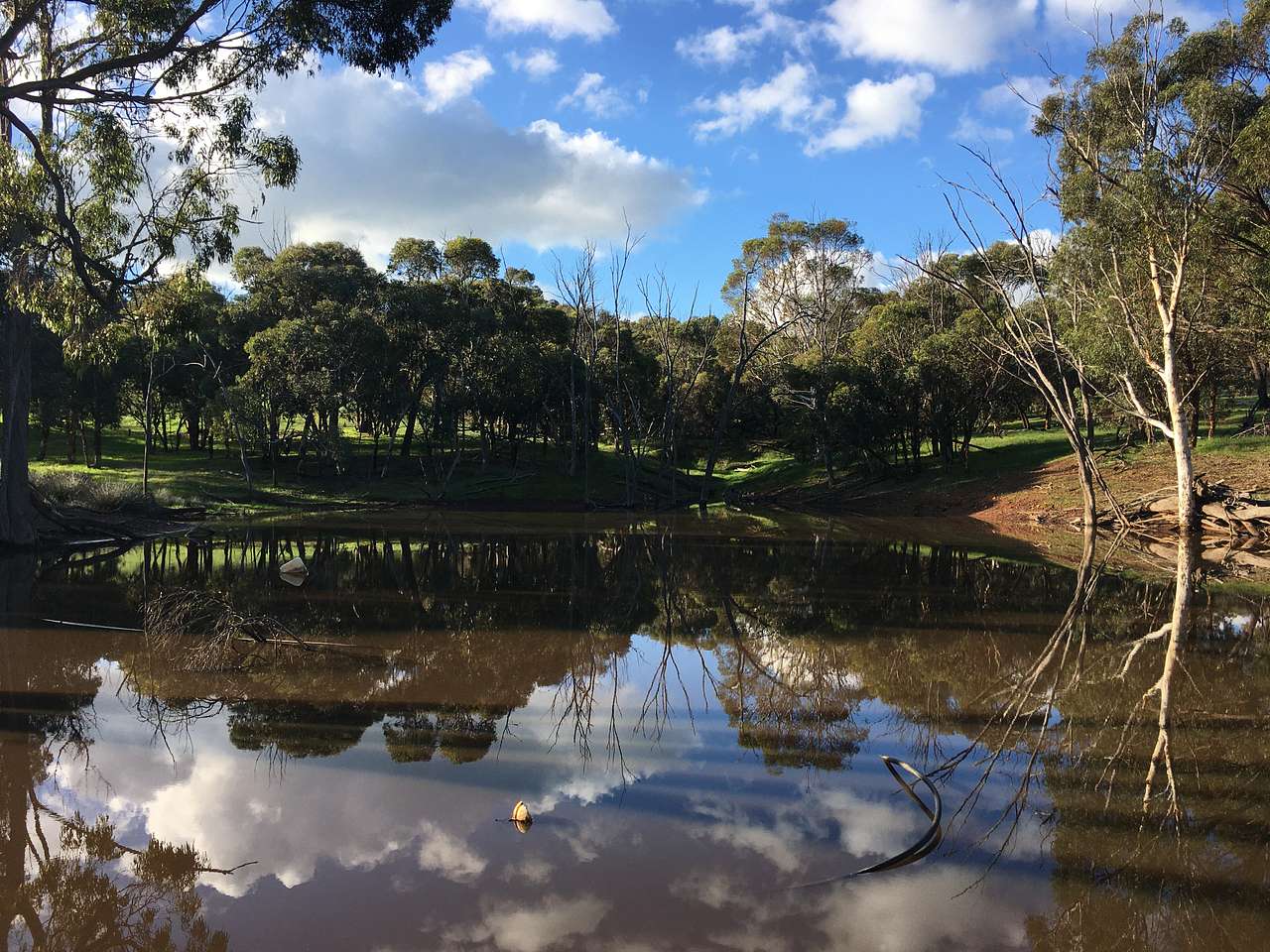 Picture of the site