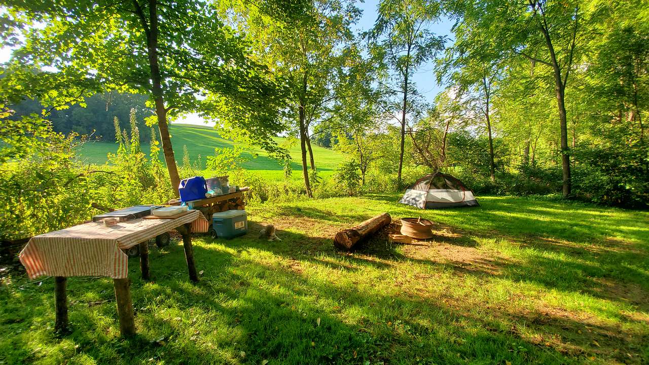 Picture of the site