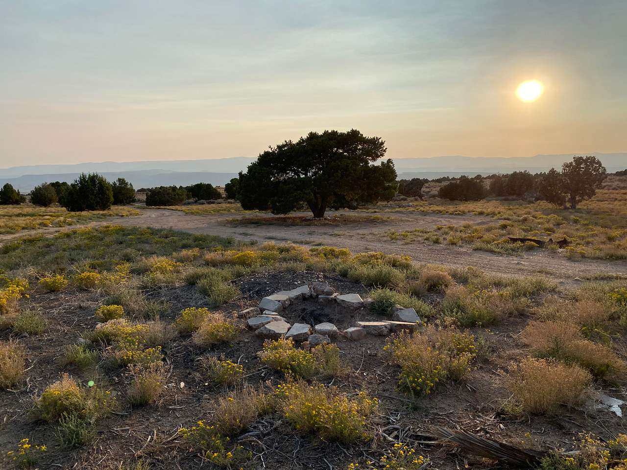 Picture of the site