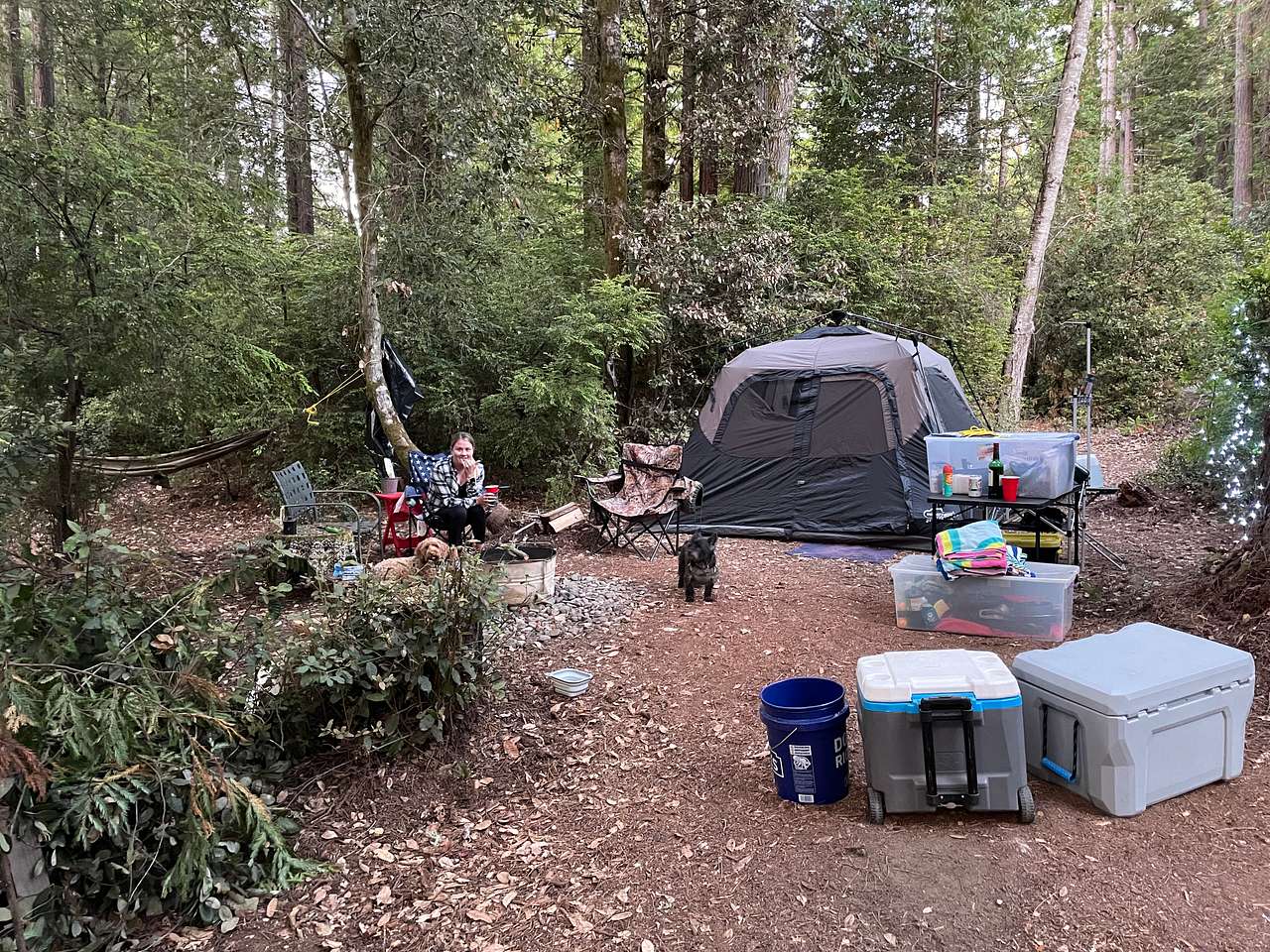 Picture of the site