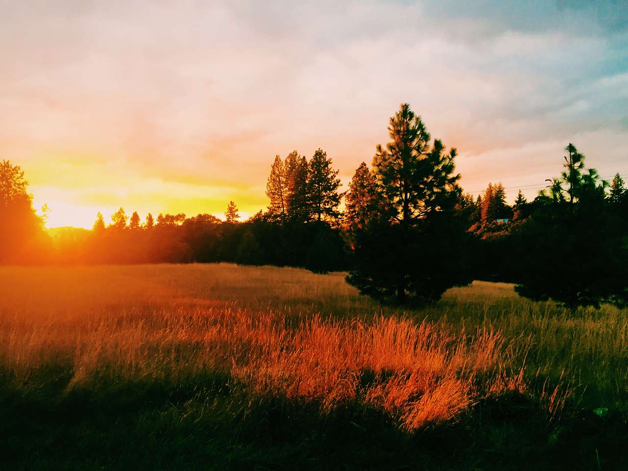 View more photos of Roots Rise Family Farm