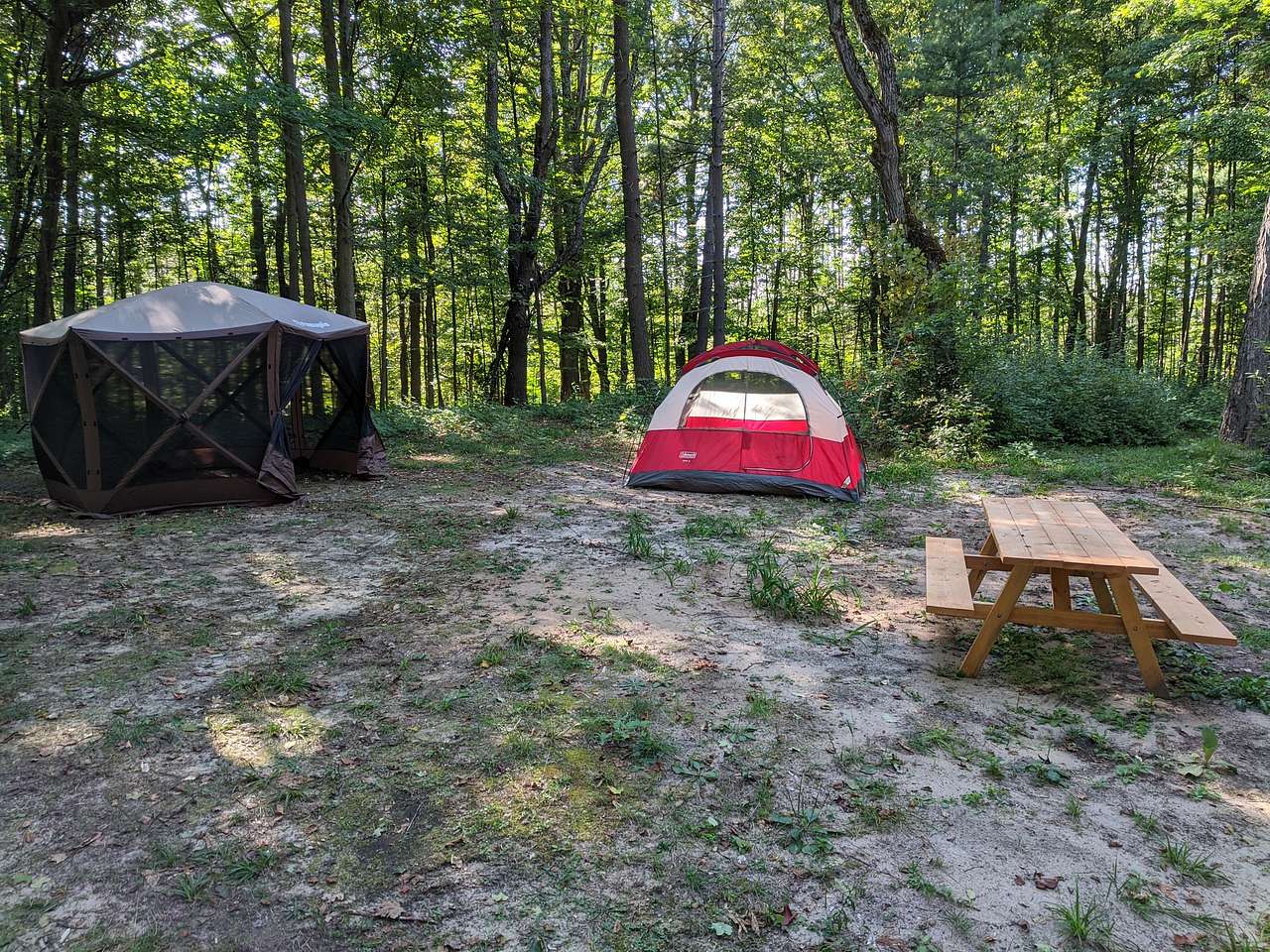 Picture of the site